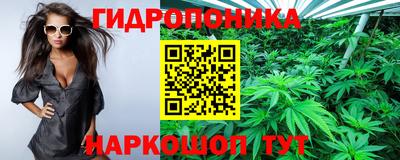 прущий лед Ачхой-Мартан