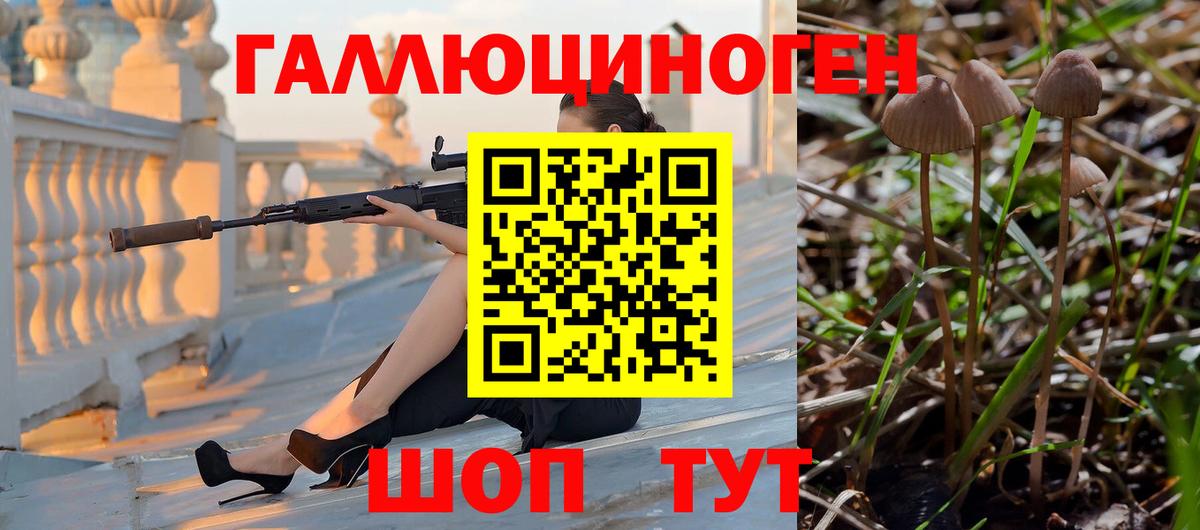 Галлюциногенные грибы MAGIC MUSHROOMS Вязьма